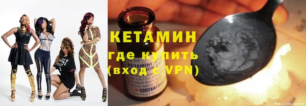 СК Ельня