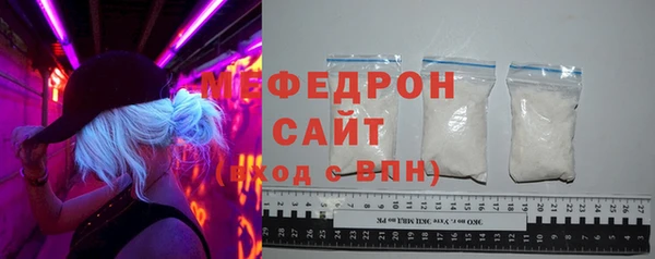 СК Ельня