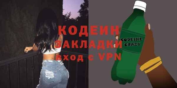 СК Ельня