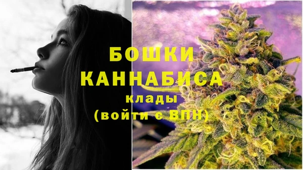 ешки Заводоуковск