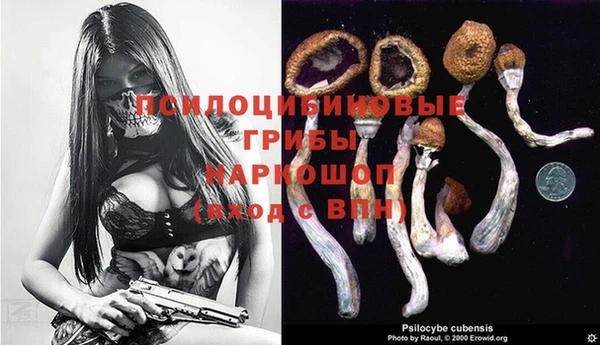 СК Ельня
