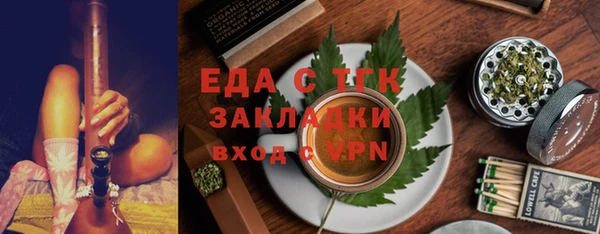 СК Ельня