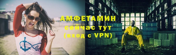СК Ельня