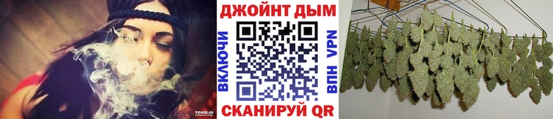 Купить закладки Старица Бошки Шишки сатива